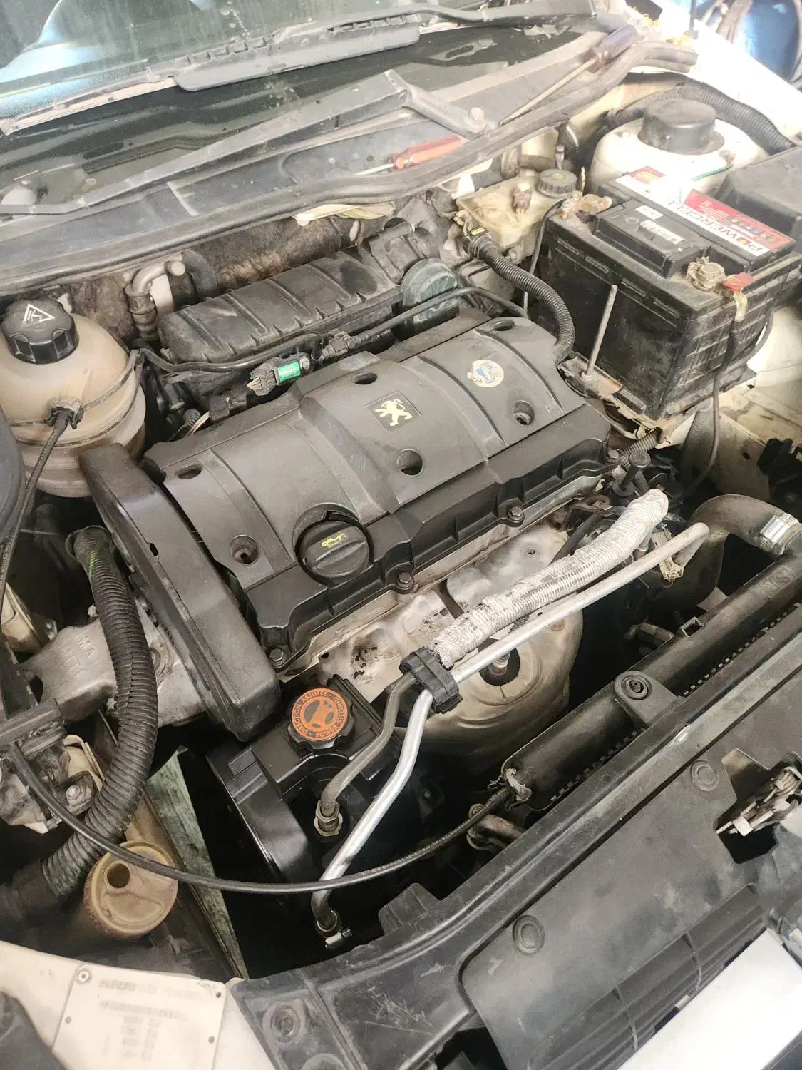 نیازمند نیروی کار|استخدام صنعتی، فنی، مهندسی|اصفهان, کوجان|دیوار