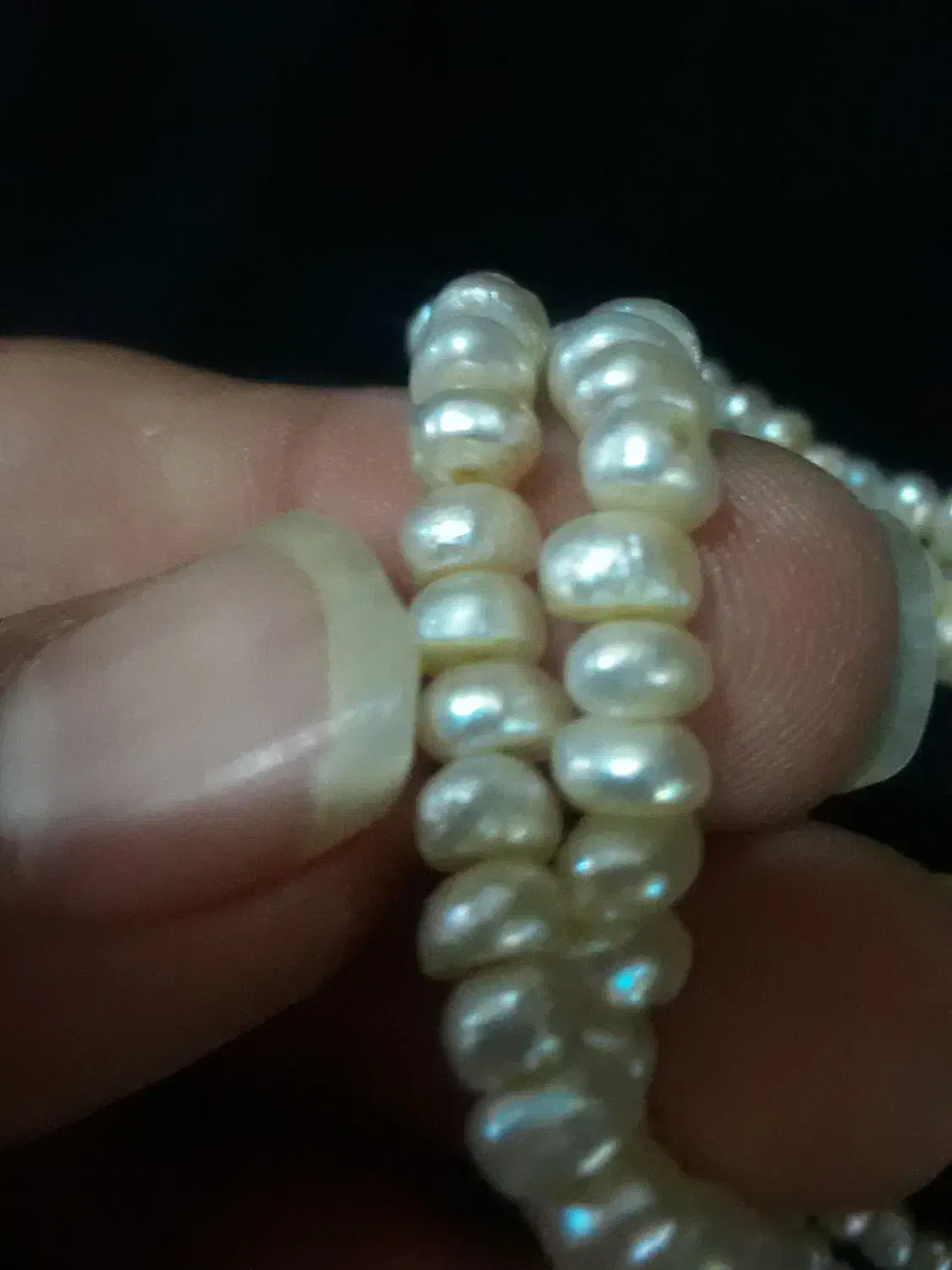 مروارید زیبا و خوشگل|جواهرات|تربتحیدریه, ترمینال|دیوار