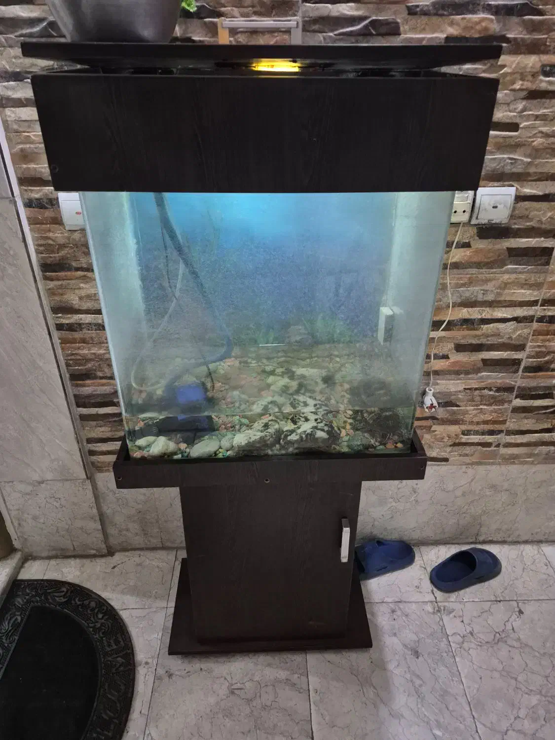 دوعدد آکواریوم شیشه خم هردو باهم|ماهی|ری, دولتآباد|دیوار