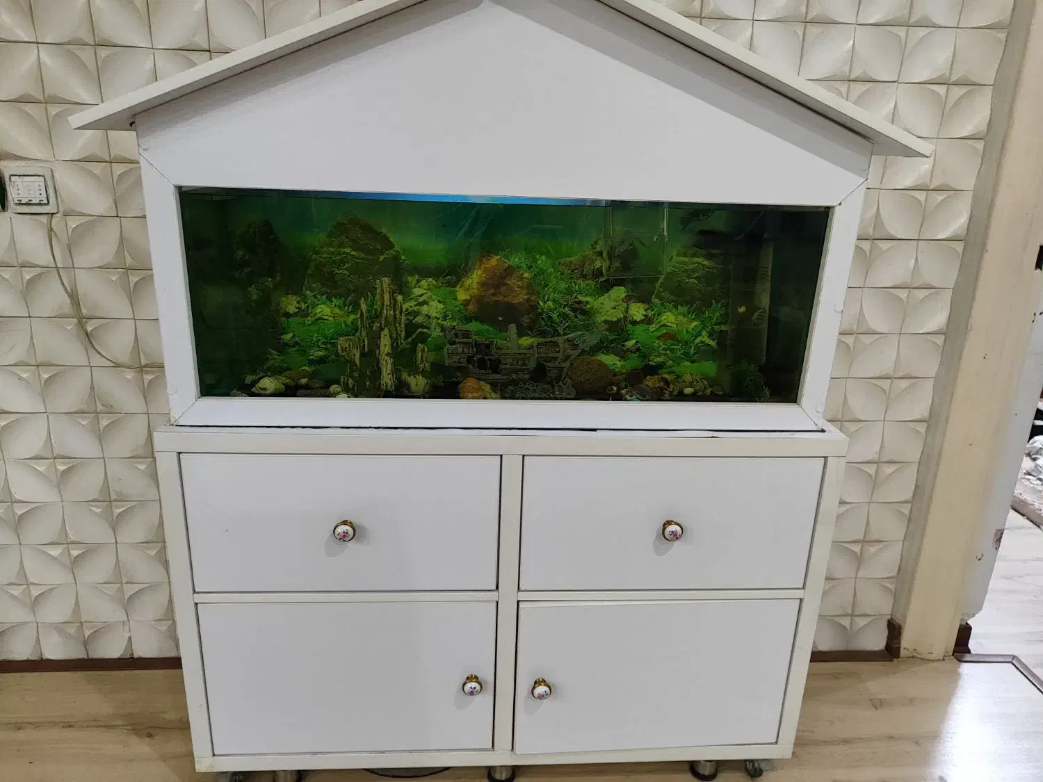 آکواریوم|ماهی|هشتگرد, فاز ۲ مهستان|دیوار