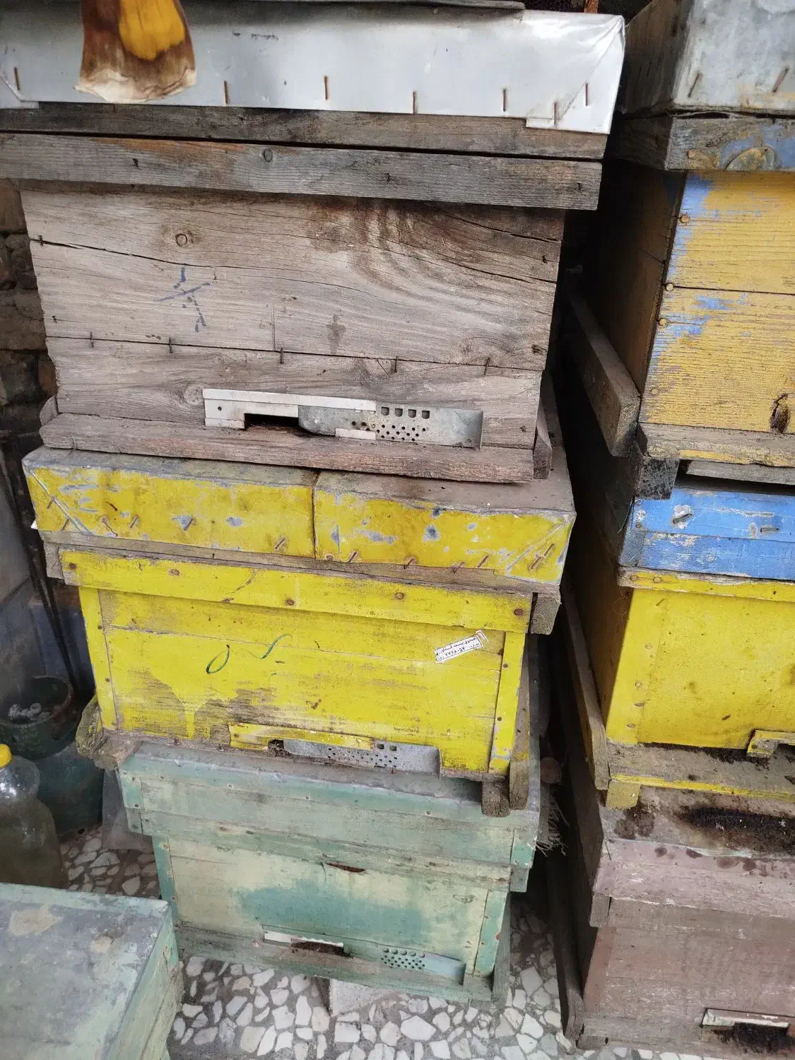 فروش کندوی خالی|لوازم جانبی حیوانات|گنبد کاووس, |دیوار