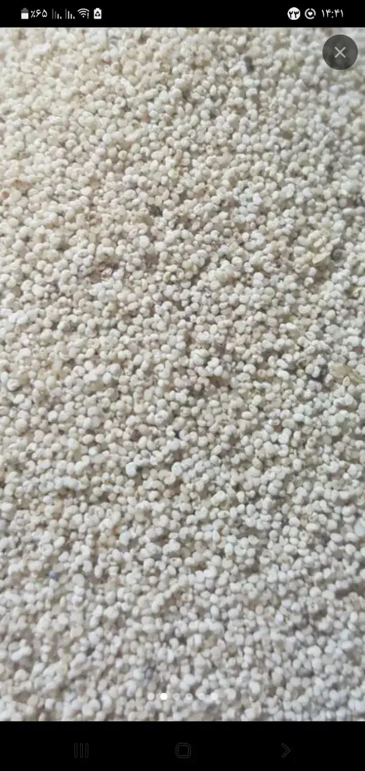 علی|عمدهفروشی|نورآباد, |دیوار