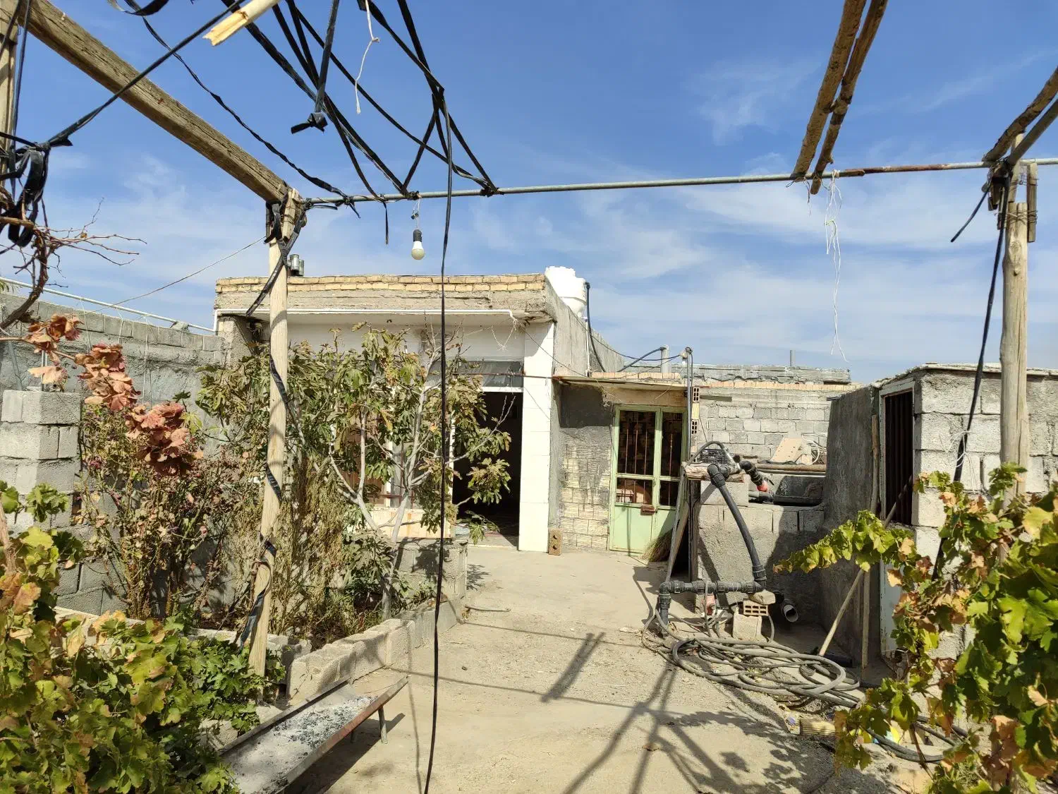 فروش باغ گلخانه|فروش دفتر صنعتی، کشاورزی، تجاری|نجف‌آباد, حومه نجف آباد|دیوار