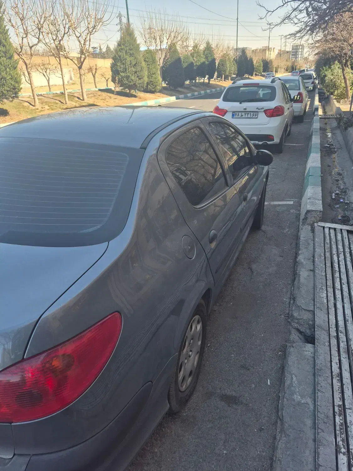 ۲۰۶ SD v8|خودرو سواری و وانت|تهران, سردارجنگل|دیوار