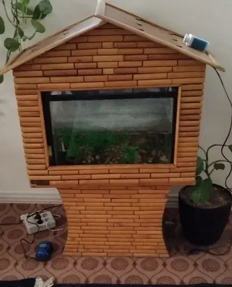 آکواریوم|ماهی|محمدشهر, علی آباد گونه|دیوار