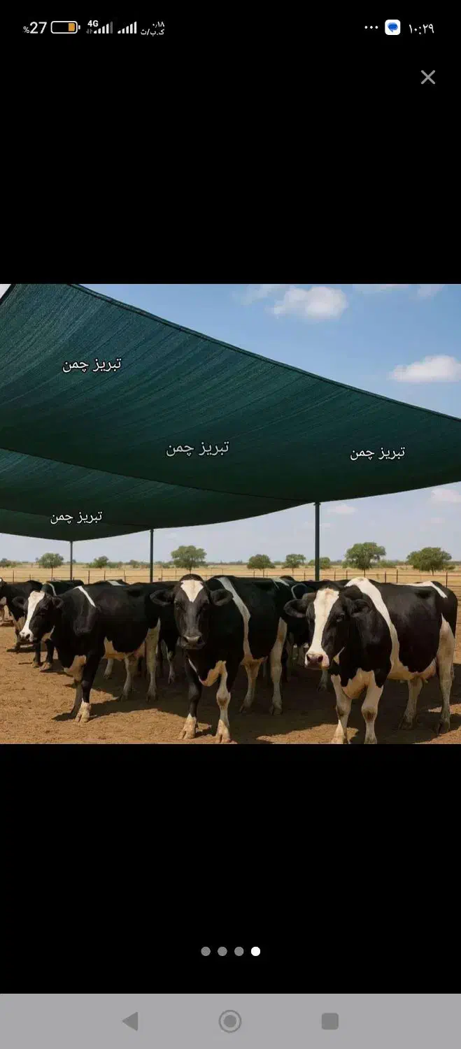 راهنمایی فرصت|فعالیت داوطلبانه|باسمنج, |دیوار