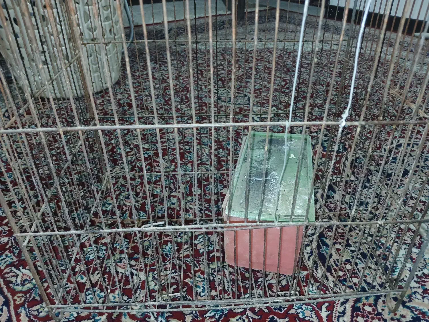 قفس پرنده|لوازم جانبی حیوانات|فولادشهر, مسکن مهر فولادشهر|دیوار