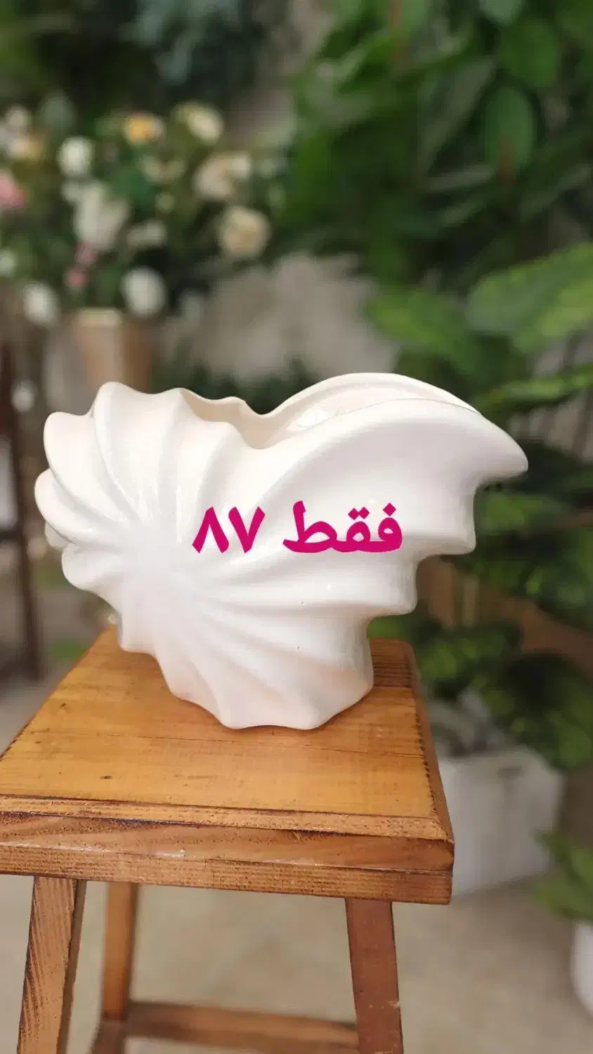 گلدان سرامیکی|گل و گیاه طبیعی|اصفهان, تخت فولاد|دیوار