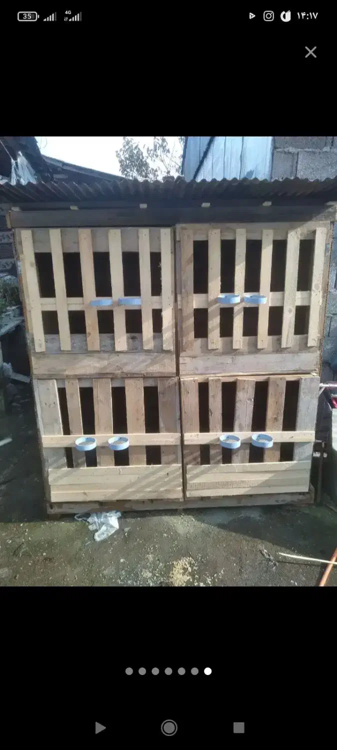 لانه مرغ و خروس با ارسال|لوازم جانبی حیوانات|رشت, کوی حسینی|دیوار