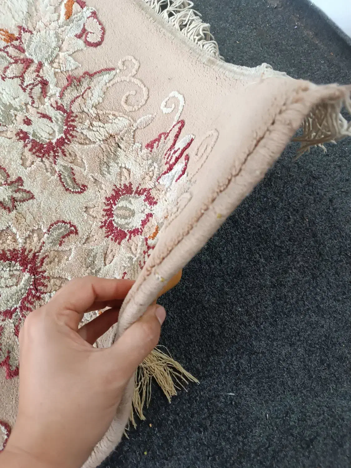 فرش ۱۲ متری نقش برجسته|فرش|دوگنبدان, |دیوار