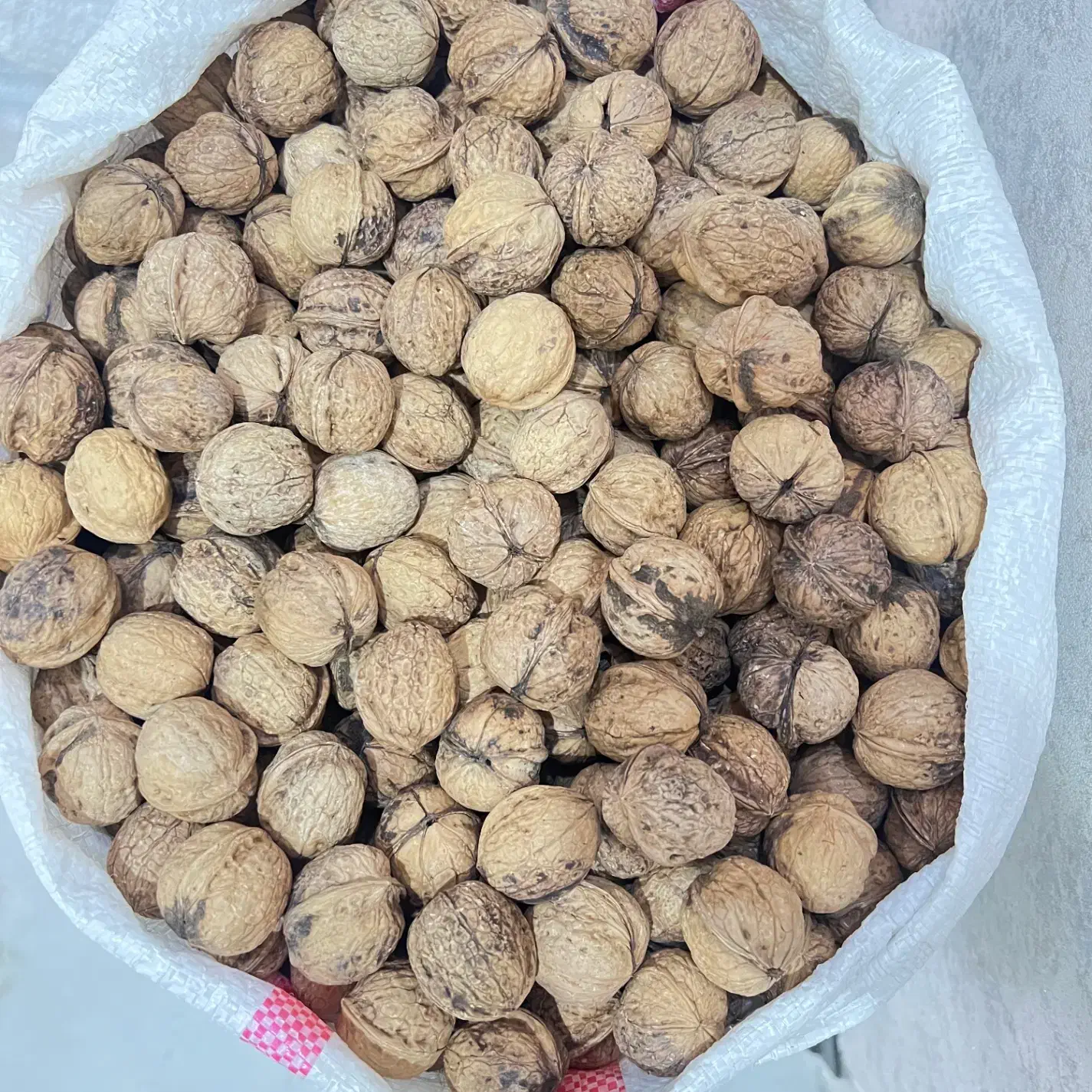 گردو امسال|خوردنی و آشامیدنی|تهران, چیتگر جنوبی|دیوار