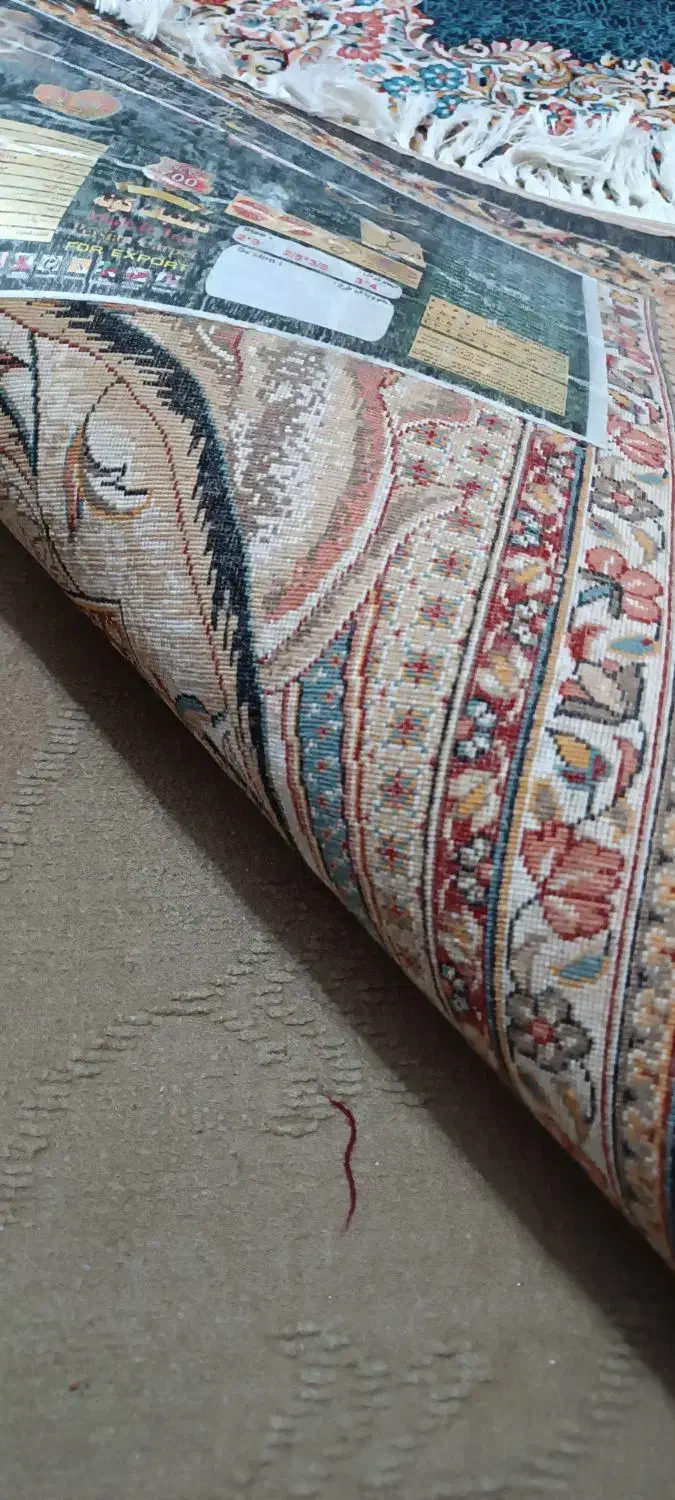 فرش 9|فرش|رشت, دخانیات|دیوار