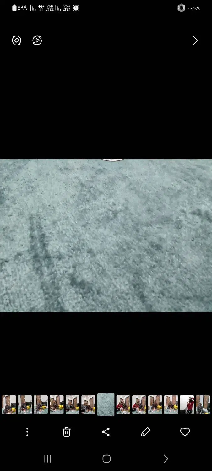 پالاز موکت|موکت|اشتهارد, |دیوار