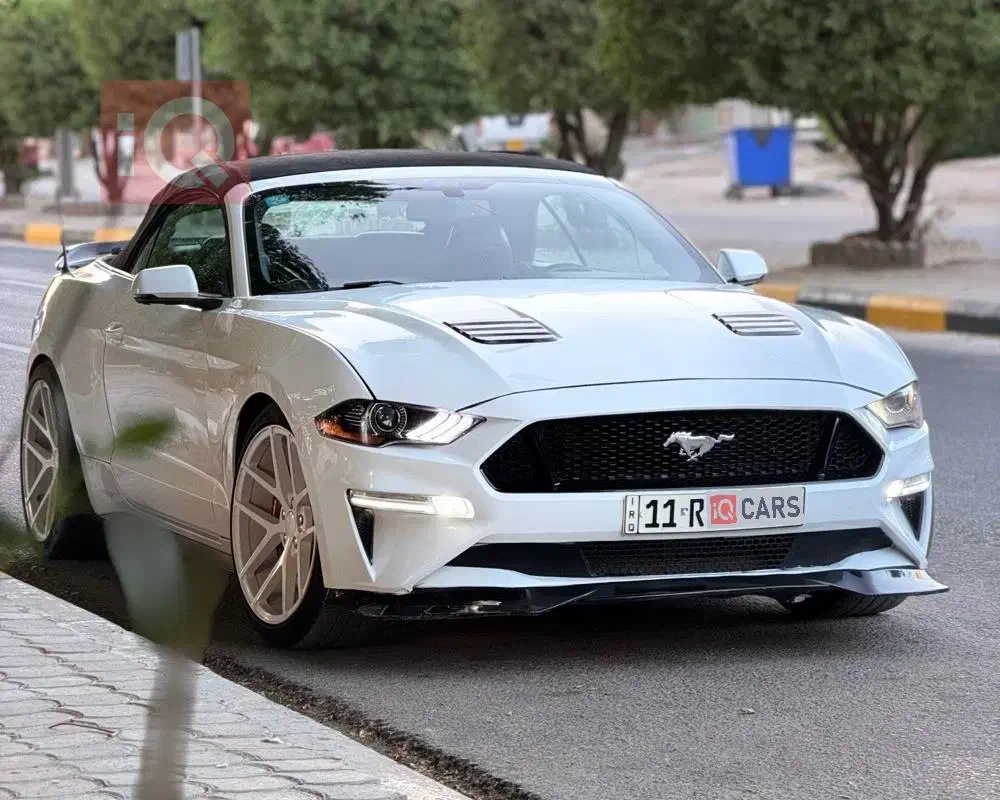 فورد موستانگ کروک 2019 گذر موقت سام گروپ|خودرو سواری و وانت|تهران, میرداماد|دیوار