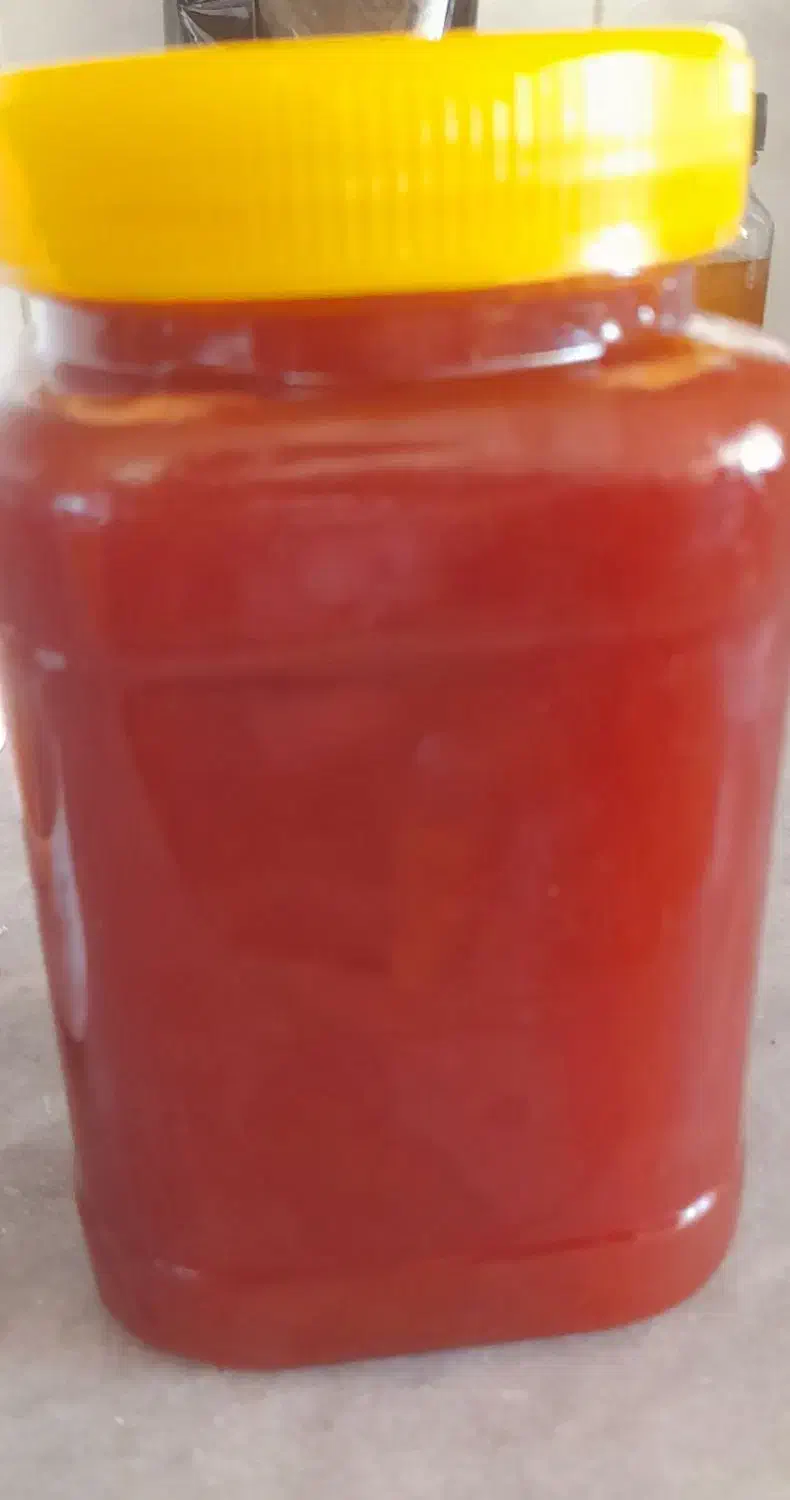 رب سیب کاملا طبیعی و تضمینی خانگی و کیفیت|خوردنی و آشامیدنی|اصفهان, دانشگاه اصفهان|دیوار