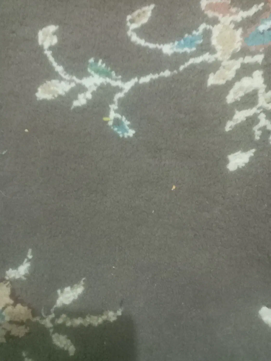 سلام|فعالیت داوطلبانه|شیروان (خراسان), |دیوار