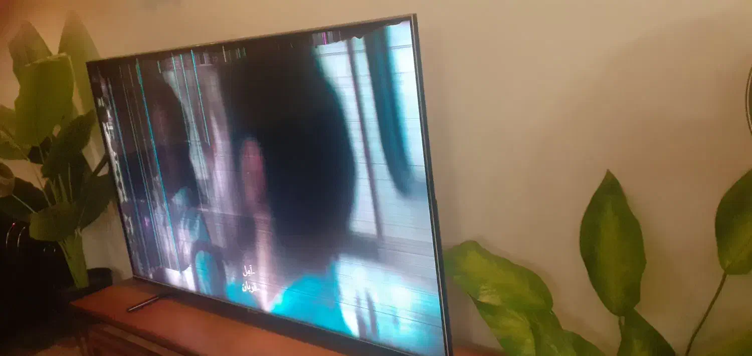 تیوی۶۵اسنوا۷تومنباکارتن|تلویزیون و پروژکتور|اراک, |دیوار