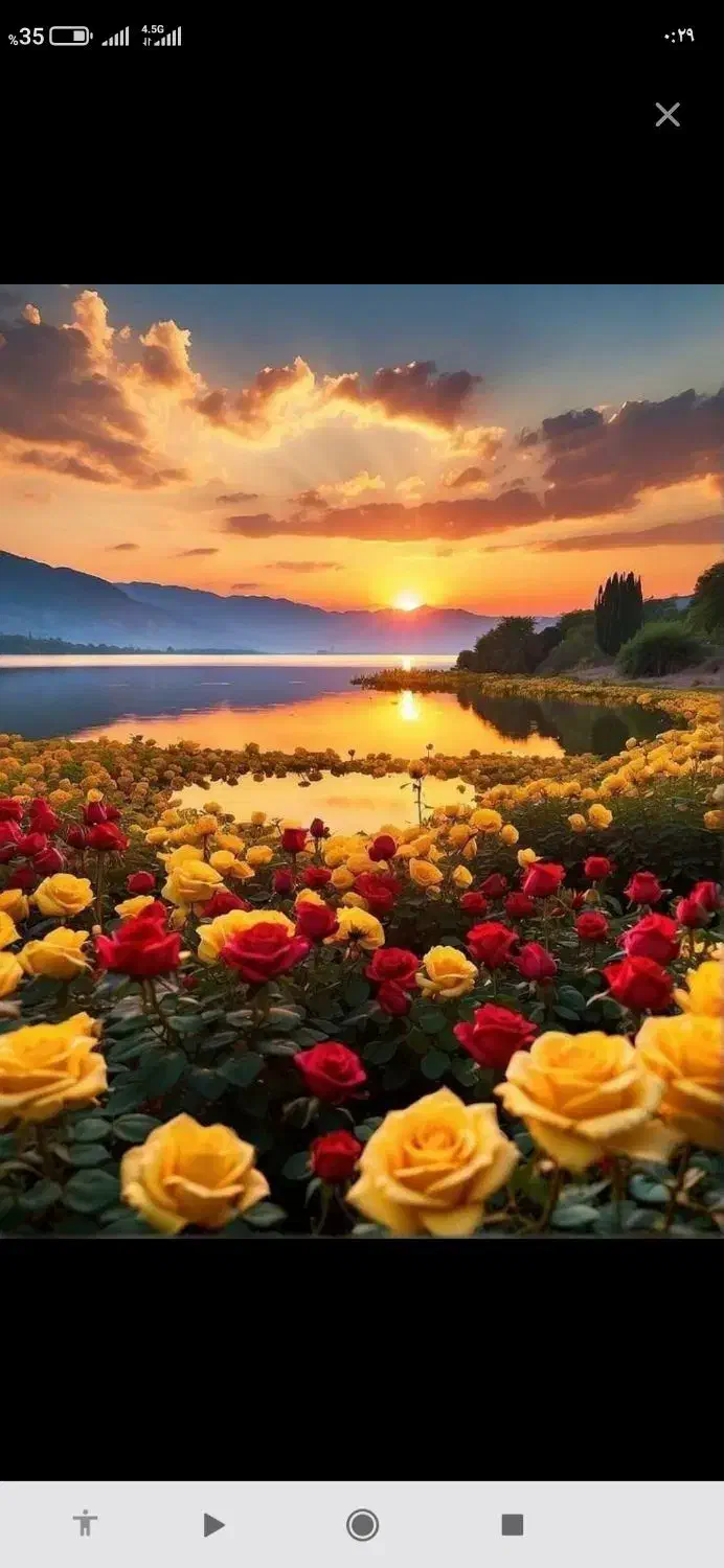 همایش آینده سازی و ازدواج جوانان|گردهمایی و همایش|کرج, کوی کارمندان شمالی|دیوار