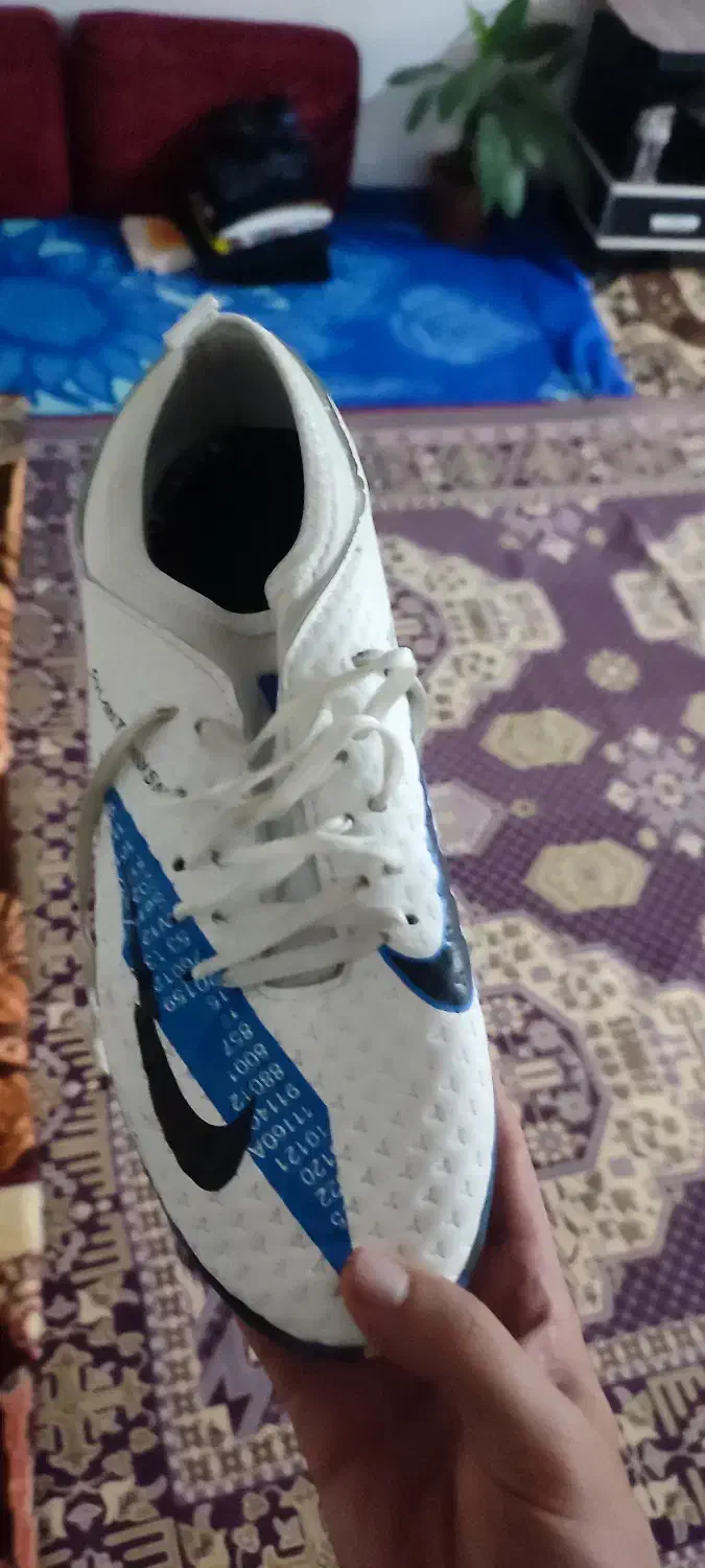 کفش ورزشی|کیف، کفش، کمربند|اهر, |دیوار