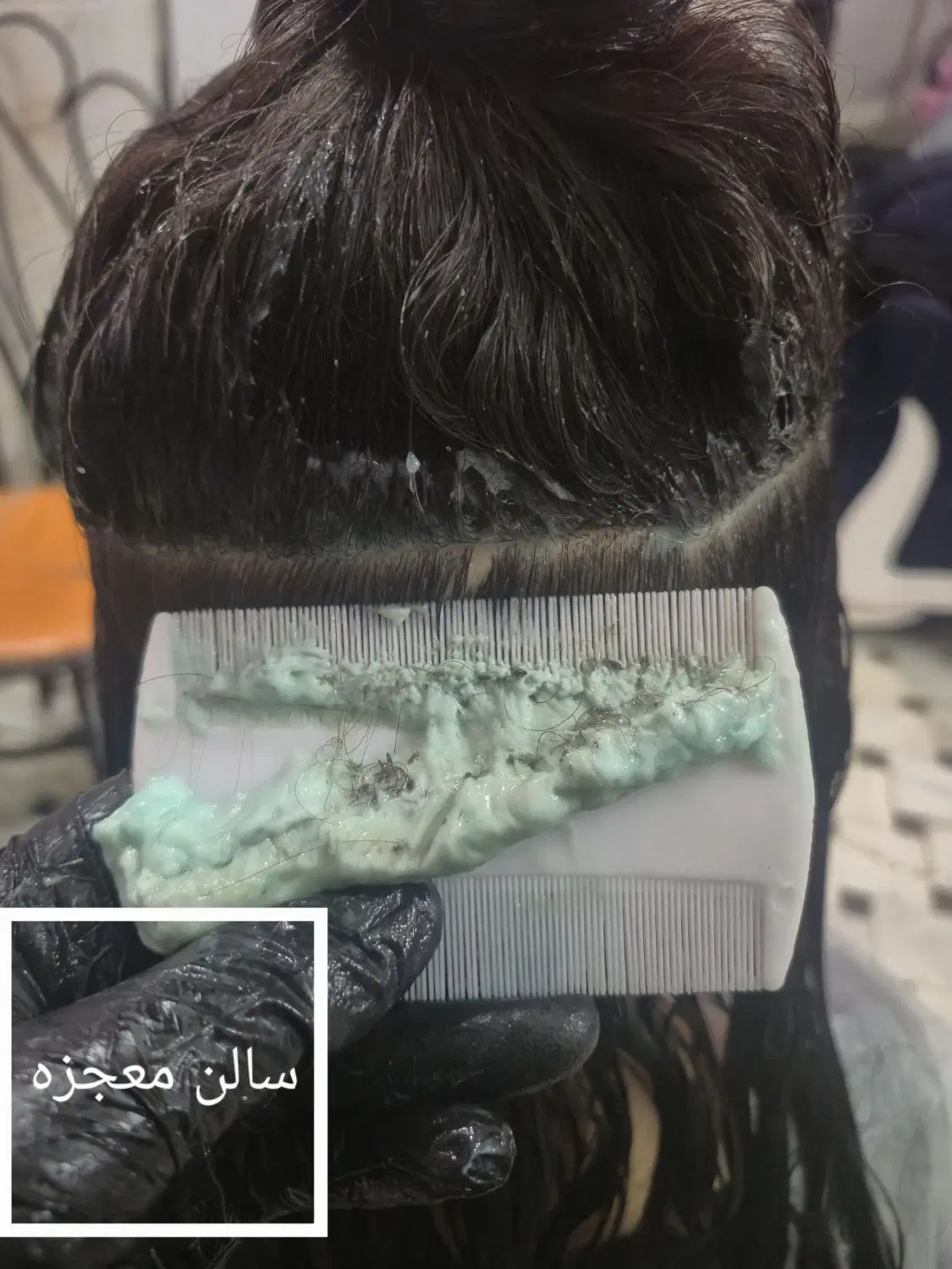 پاکسازی رشک و شپش همراه با محلول رایگان|خدمات زیبایی و سلامت|قم, زینبیه|دیوار