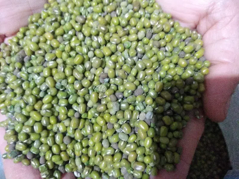 ماش|خوردنی و آشامیدنی|اهواز, بیست متری شهرداری|دیوار