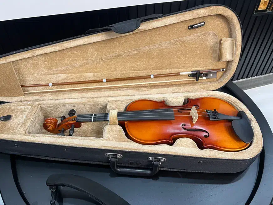 ویالن تی اف ۳/۴|ویولن|رشت, فلسطین|دیوار