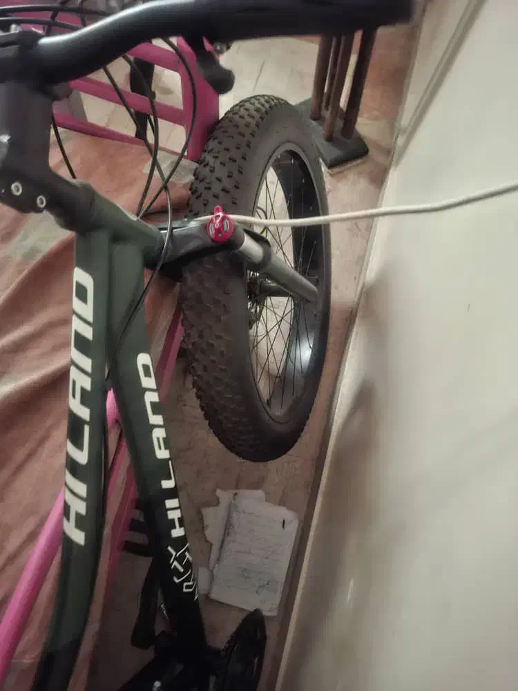 دوچرخه لاستیک پهن|دوچرخه، اسکیت، اسکوتر|ری, منصوریه منگل|دیوار