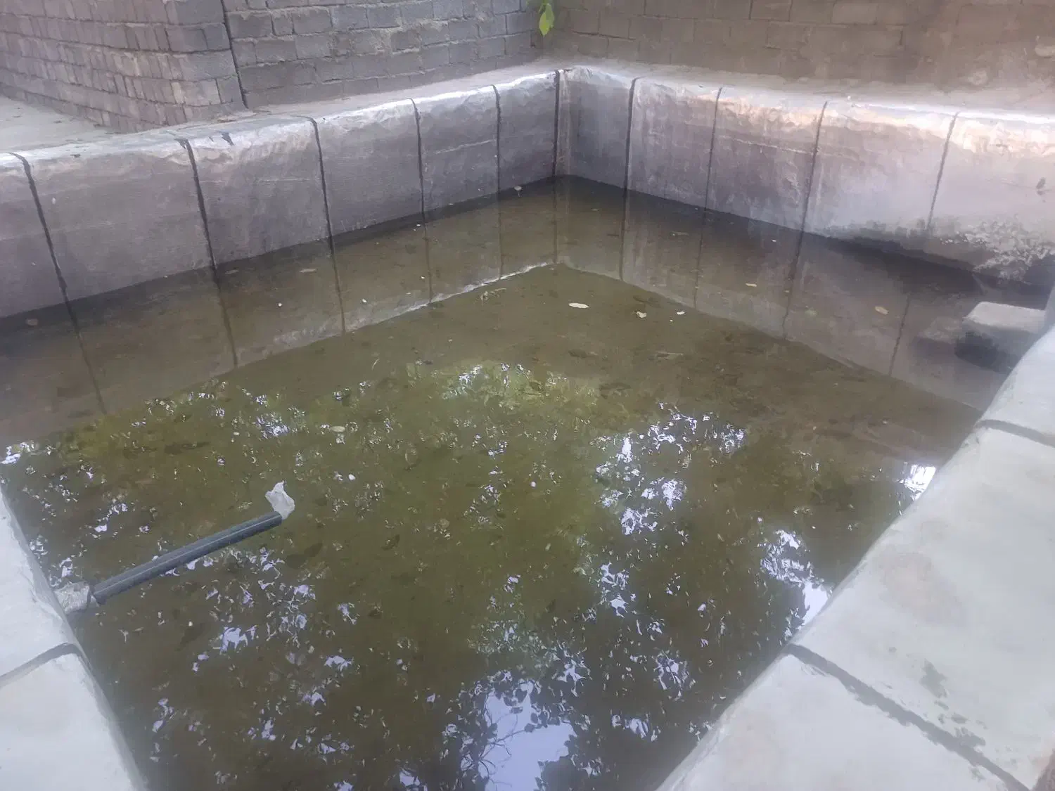 فروش باغ یک هکتار نیم|فروش زمین و ملک کلنگی|موچش, |دیوار