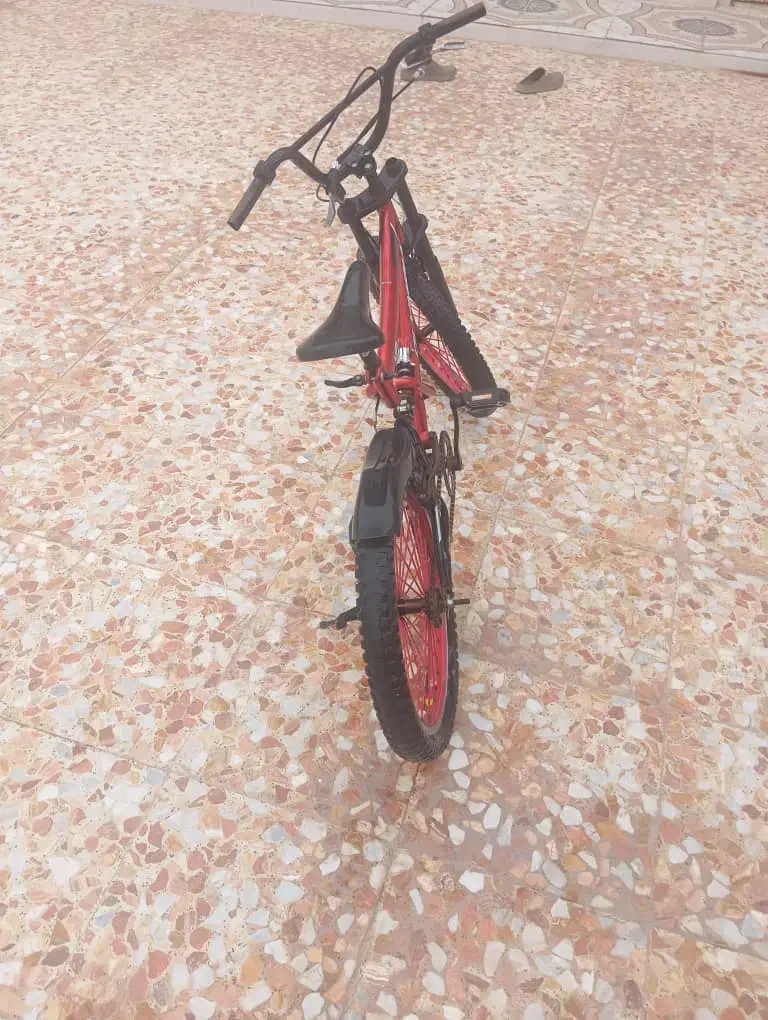 دوچرخه|دوچرخه، اسکیت، اسکوتر|شوشتر, |دیوار