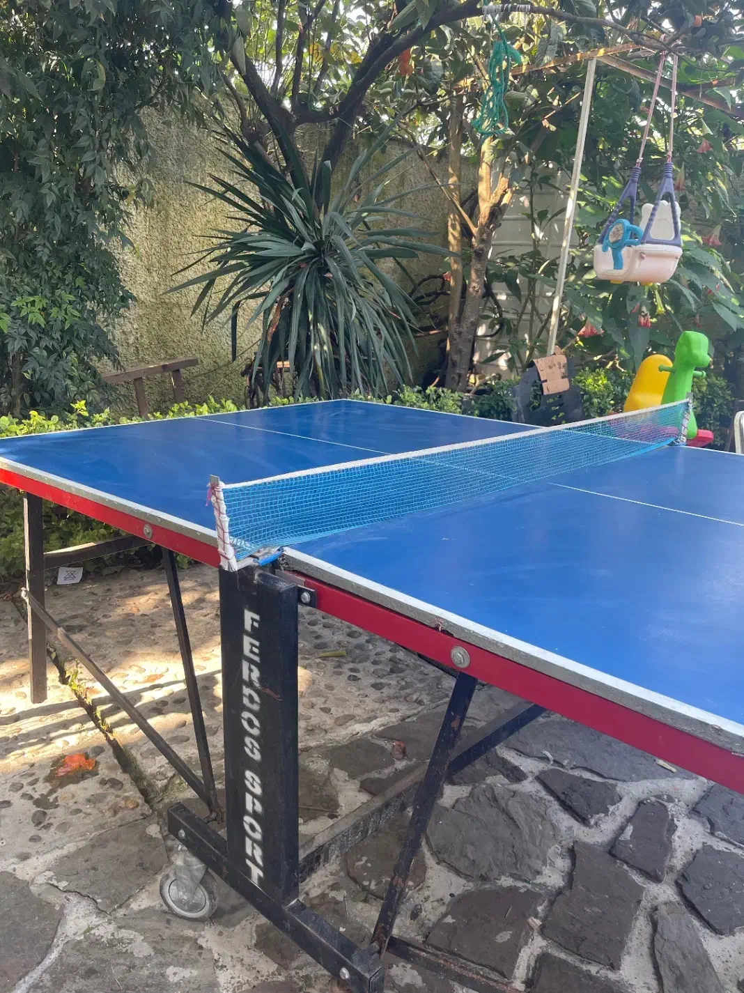 میز تنیس روی میز|ورزشهای توپی|چالوس, |دیوار