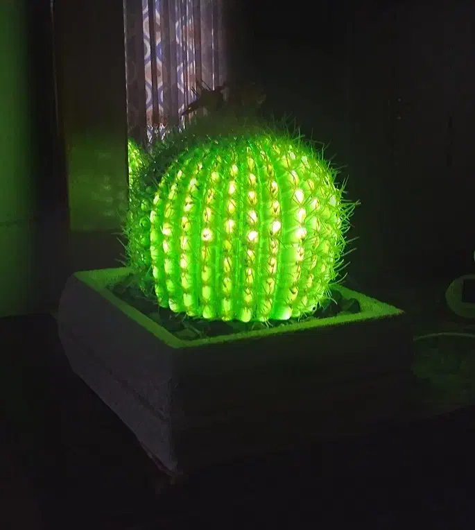 آباژور  گل کاکتوس|چراغ خواب و آباژور|بومهن, |دیوار