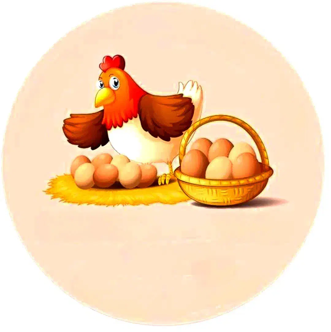 تخم مرغ محلی جهادی ارگانیک تازه روزانه|خوردنی و آشامیدنی|نیشابور, امام|دیوار