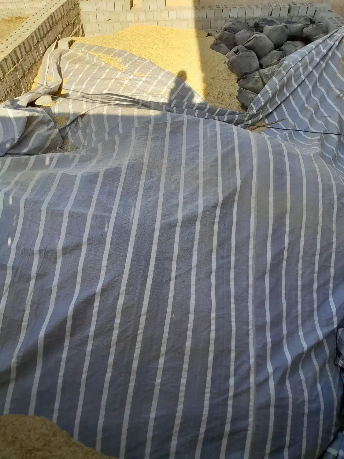 فروش کاه گندم|حیوانات مزرعه|هشترود, |دیوار