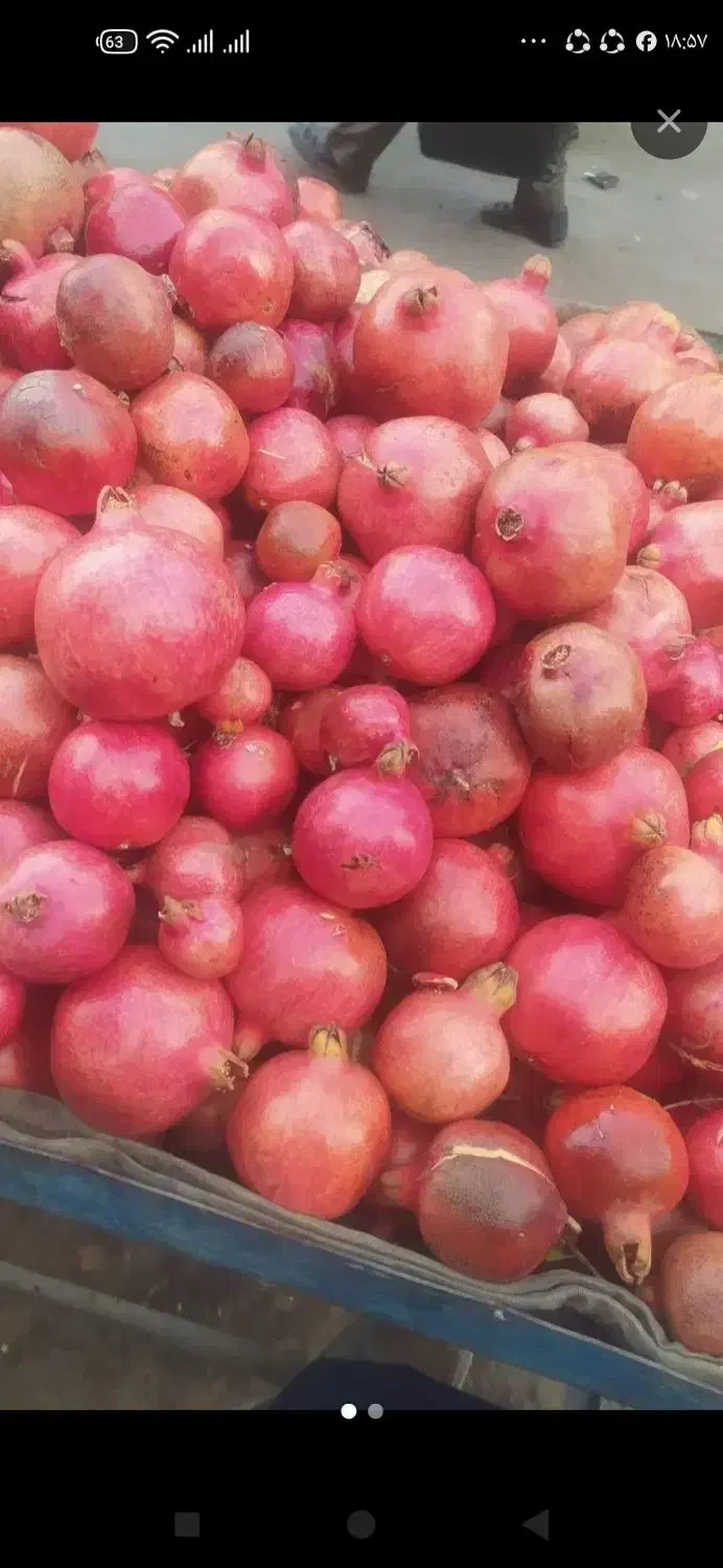 انار   ترش و شیرین   عمده و جزی|خوردنی و آشامیدنی|جوانرود, |دیوار