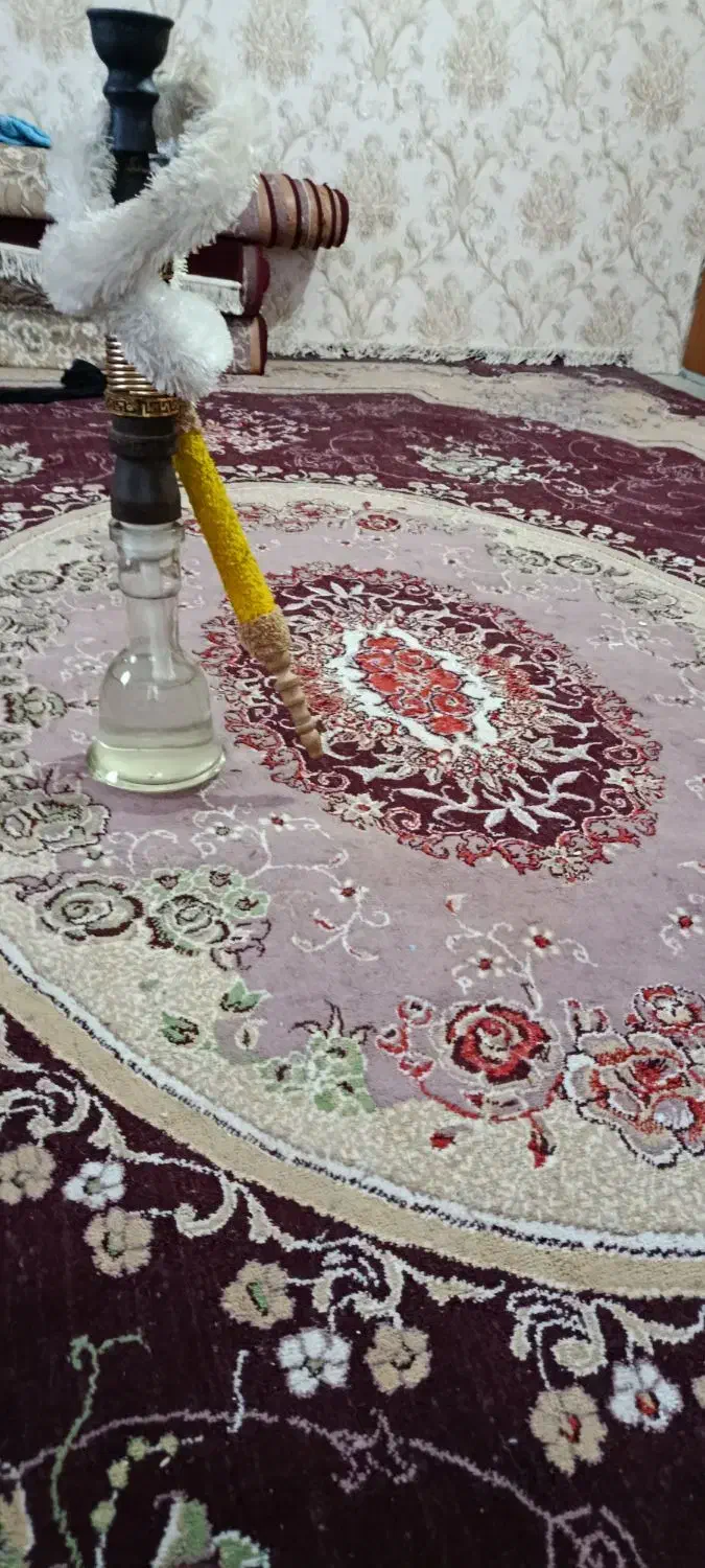 قلیون|کلکسیون و سرگرمی|زرند, |دیوار