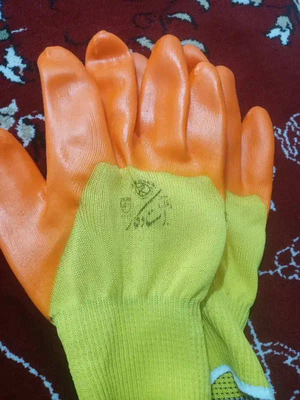 دستکش|لباس|دزفول, |دیوار