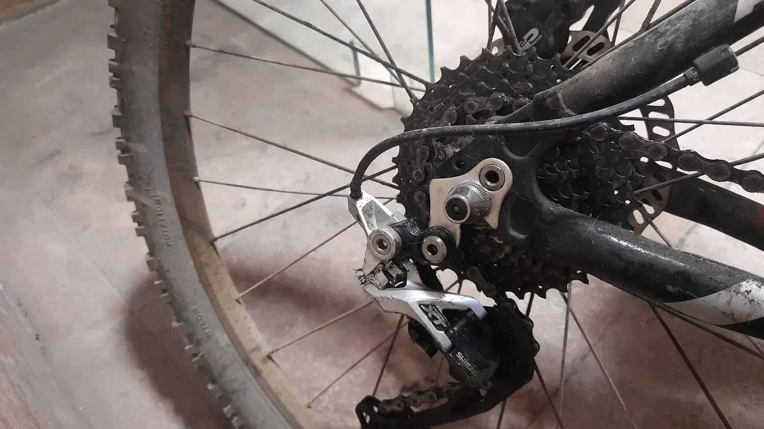 دوچرخه فوجی،کی تی ام،جاینت|دوچرخه، اسکیت، اسکوتر|فردیس, منظریه|دیوار