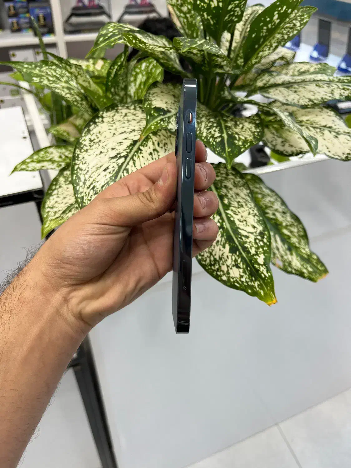 12pro|موبایل|بوشهر, |دیوار