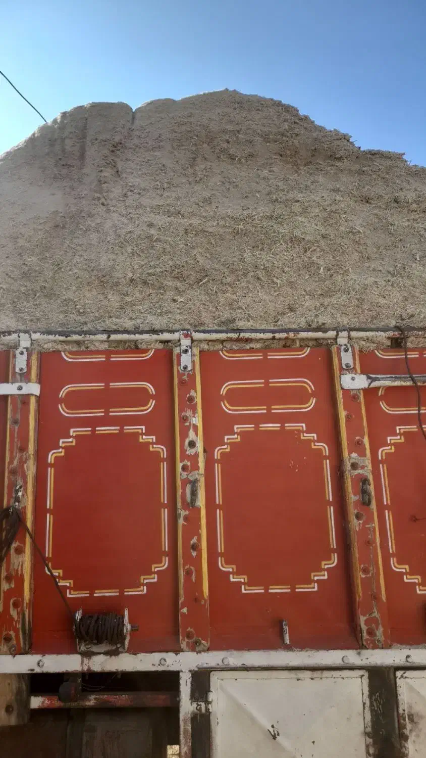 کاه نیشکر|حیوانات مزرعه|گنبد کاووس, |دیوار