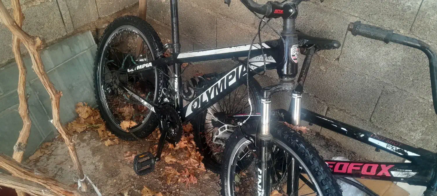 دوه|دوچرخه، اسکیت، اسکوتر|نورآباد ممسنی, |دیوار