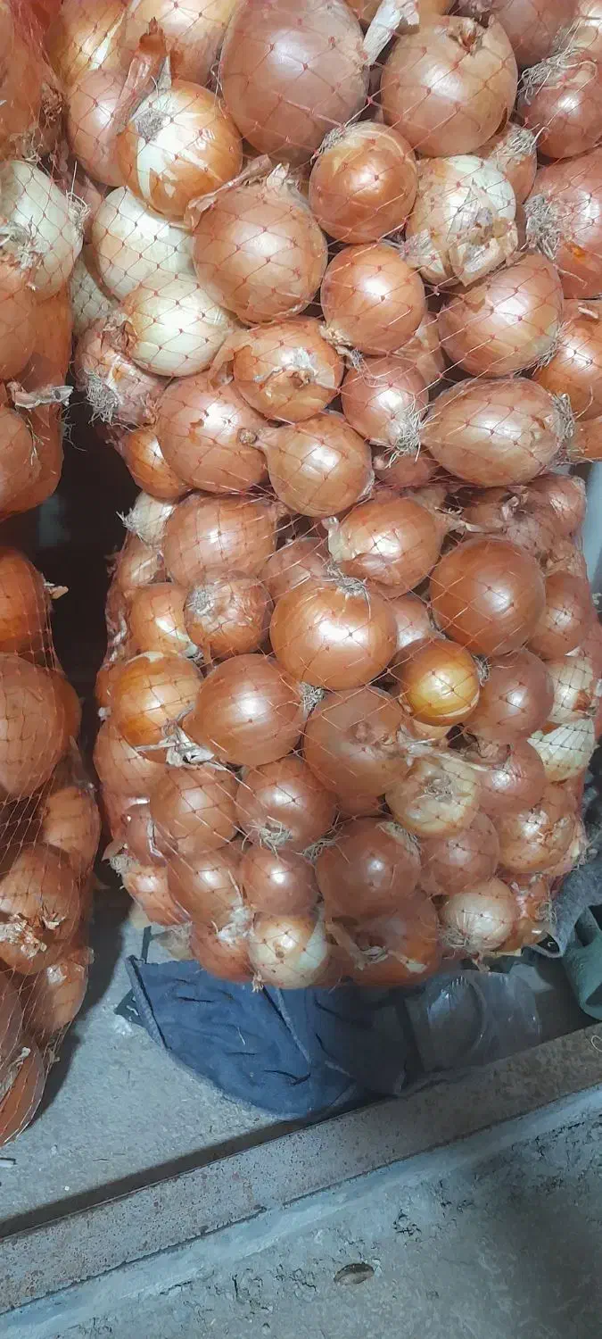 پیاز زرد طلایی|خوردنی و آشامیدنی|پارس‌آباد, |دیوار