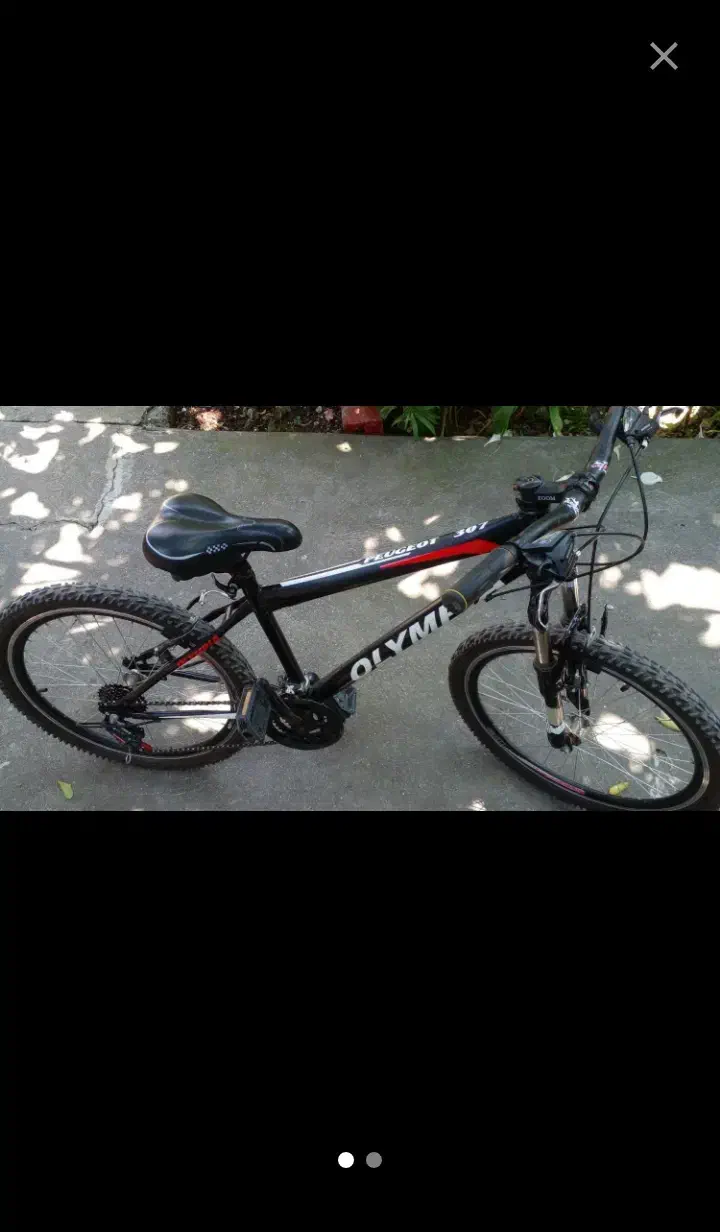 دوچرخه دنده ای سایز۲۴|دوچرخه، اسکیت، اسکوتر|بندر انزلی, سید آسیه|دیوار