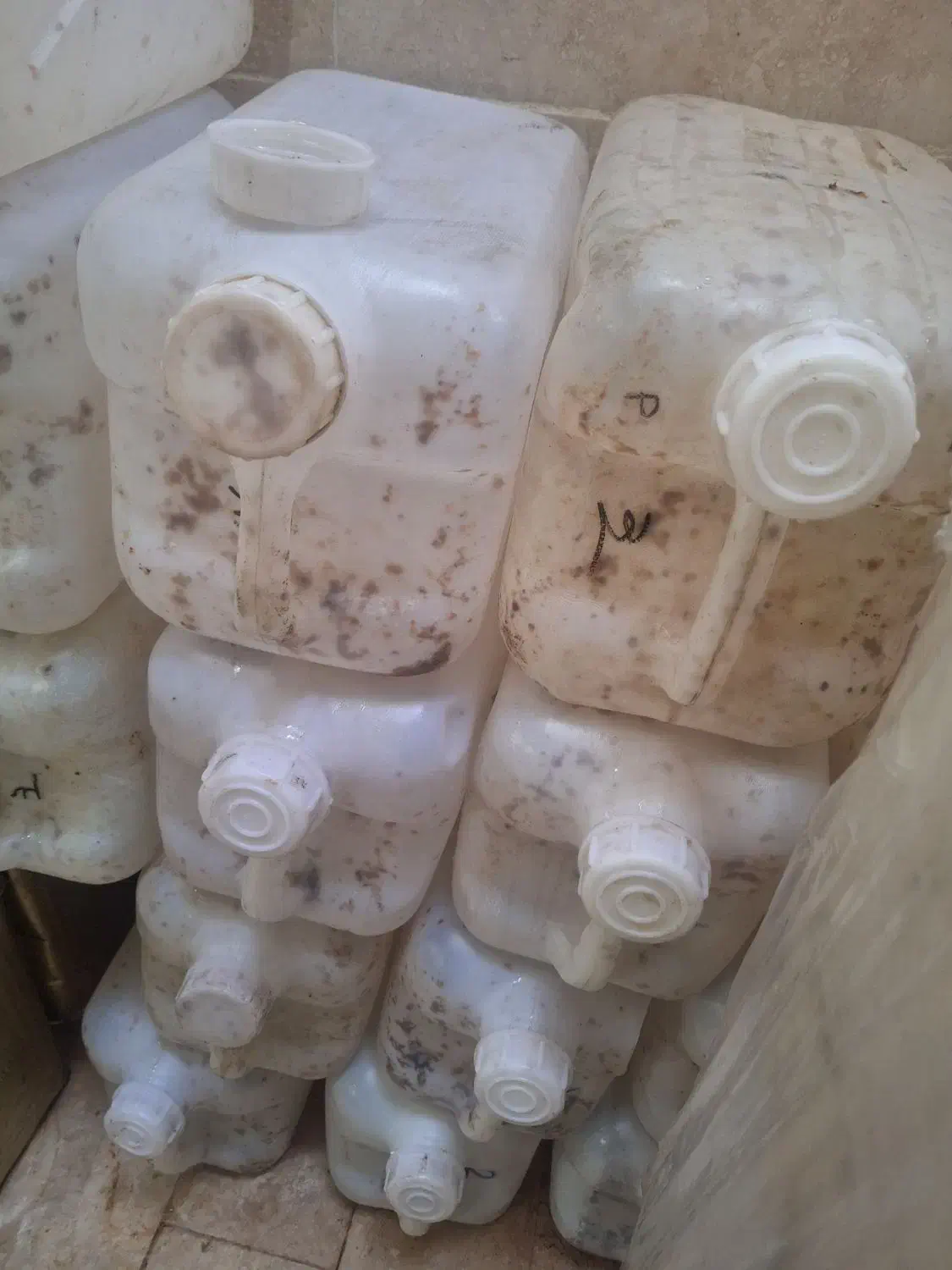 حدود ۵۰ گالن خالی عسل سالم بدون سوراخ|ظروف نگهدارنده، پلاستیکی، یک‌بارمصرف|مشهد, کوه سنگی|دیوار