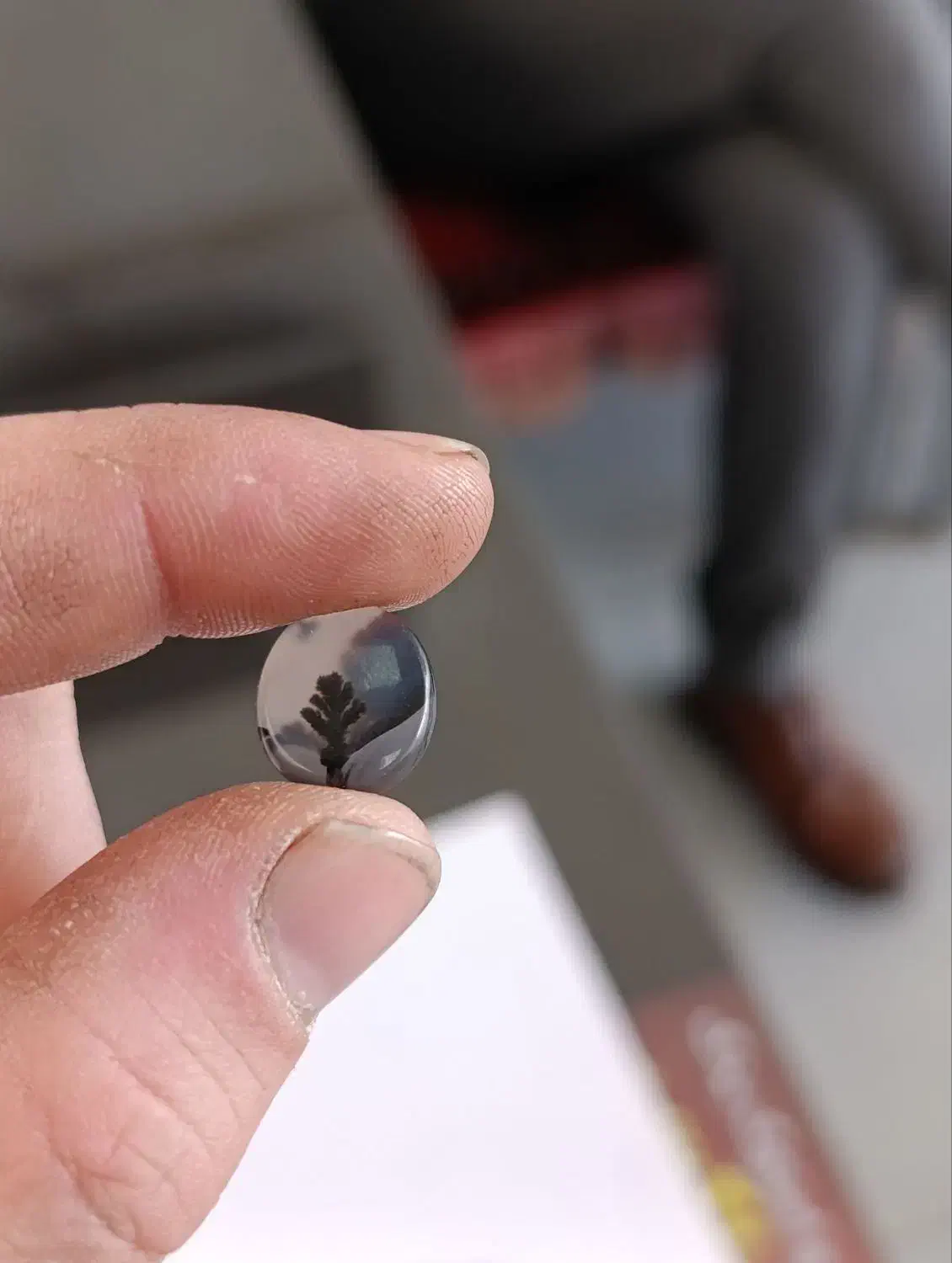 نگین انگشتر شجر قائن|جواهرات|آذرشهر, |دیوار