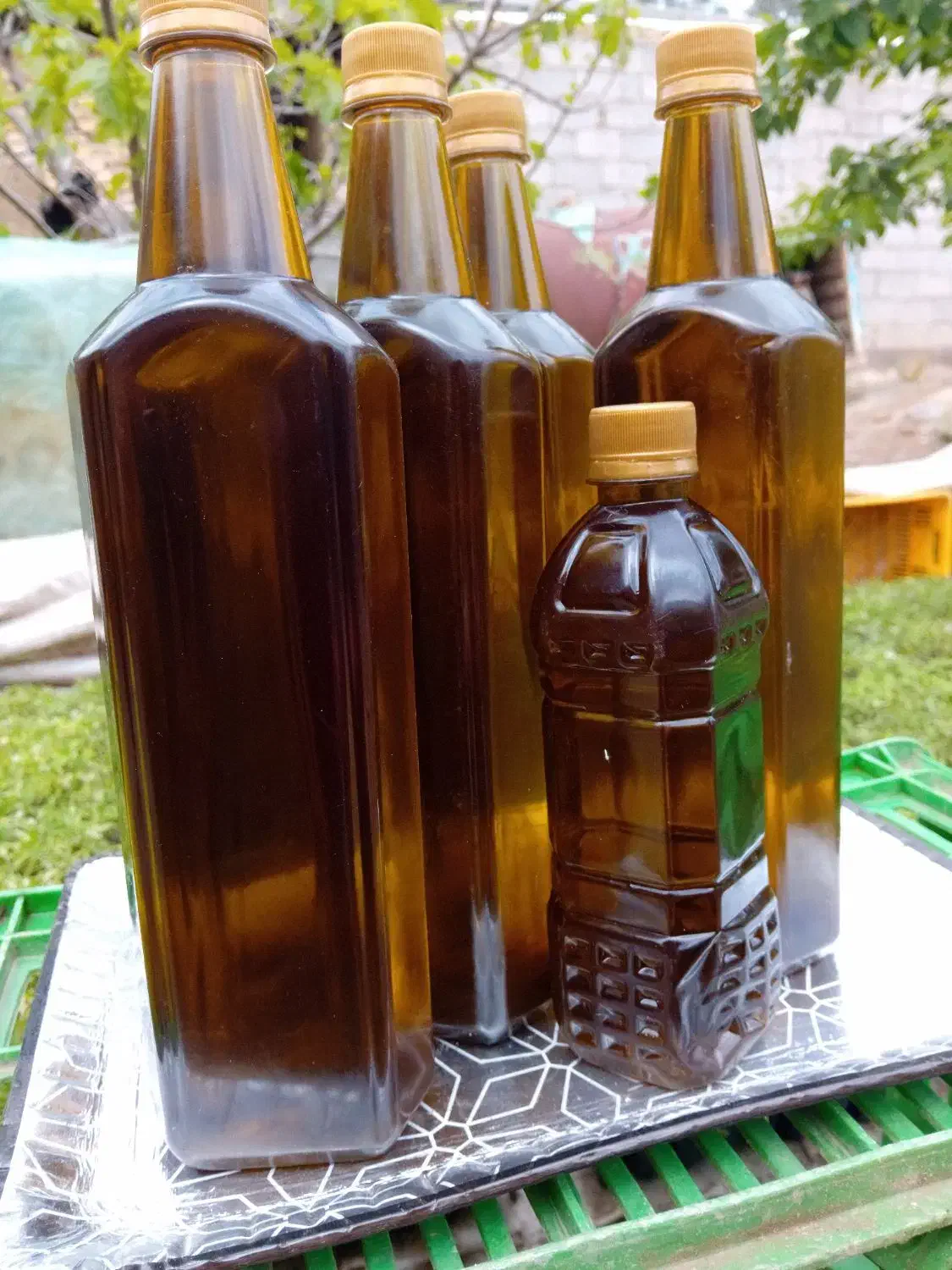 زیتون کنسروی بی هسته و روغن زیتون درجه یک بشر|عمده‌فروشی|طارم, |دیوار