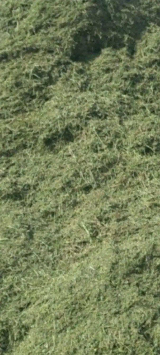 یونجه تازه|لوازم جانبی حیوانات|مریوان, |دیوار