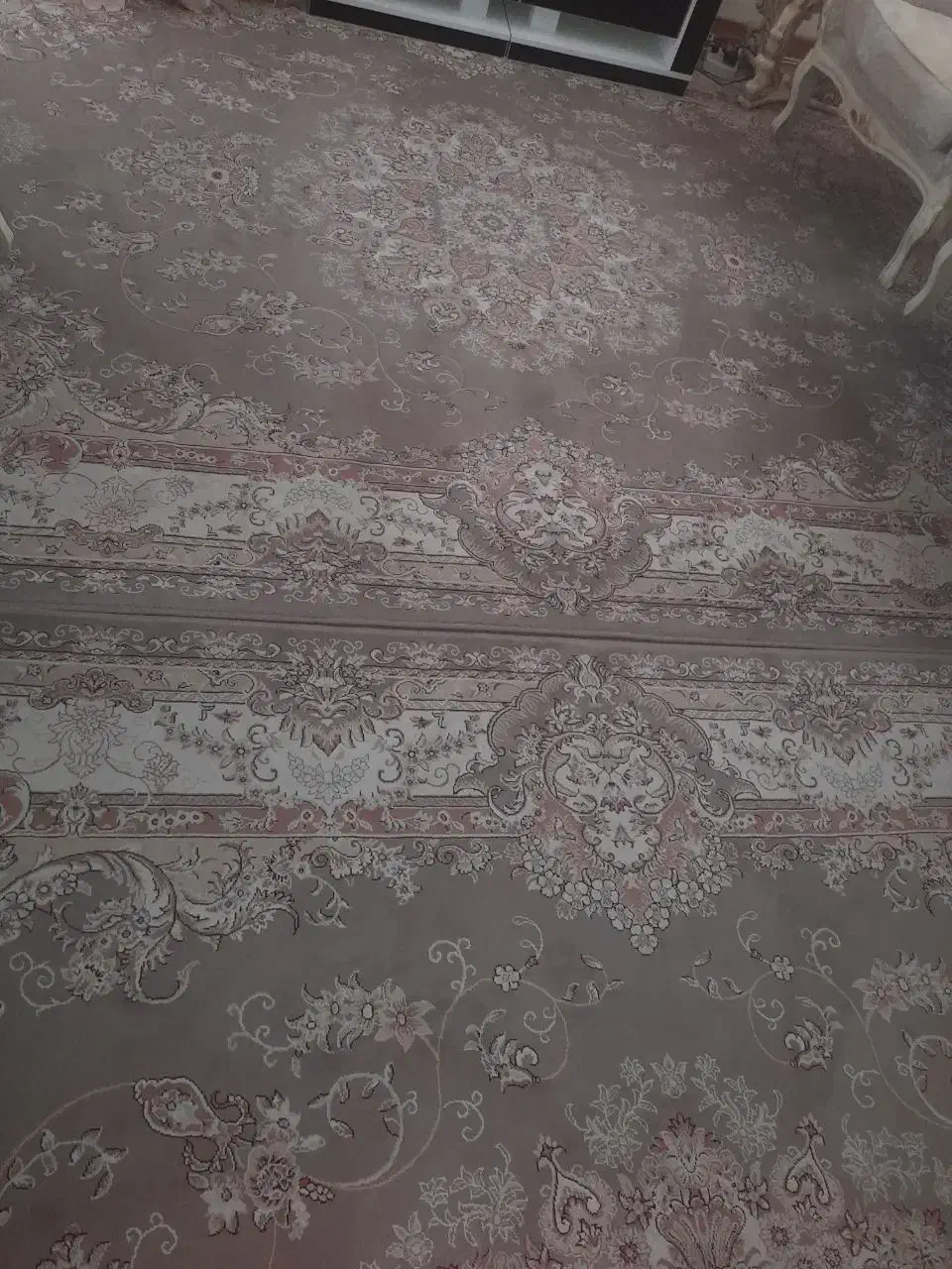 فرش ماشینی|فرش|قم, پردیسان|دیوار