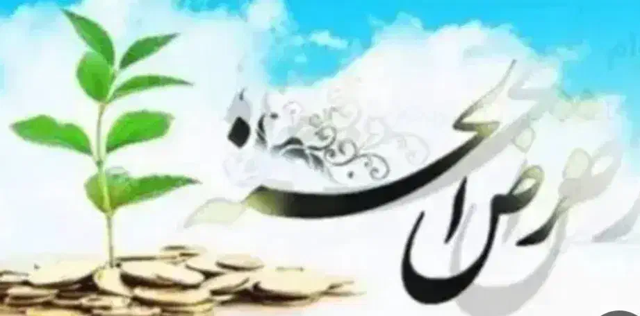 وام محمدرسوالله|فعالیت داوطلبانه|تربت جام, امام|دیوار