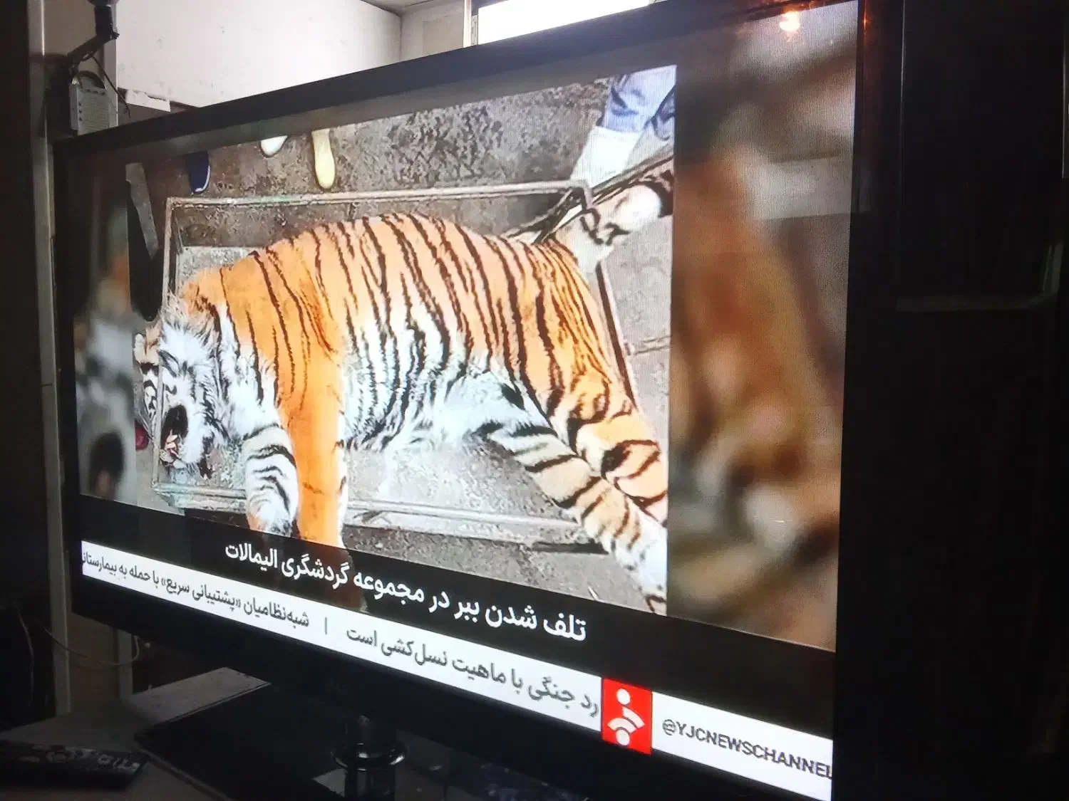 آل جی ۵۰اینچ کیفیت عالی|تلویزیون و پروژکتور|فردیس, سرحدی|دیوار