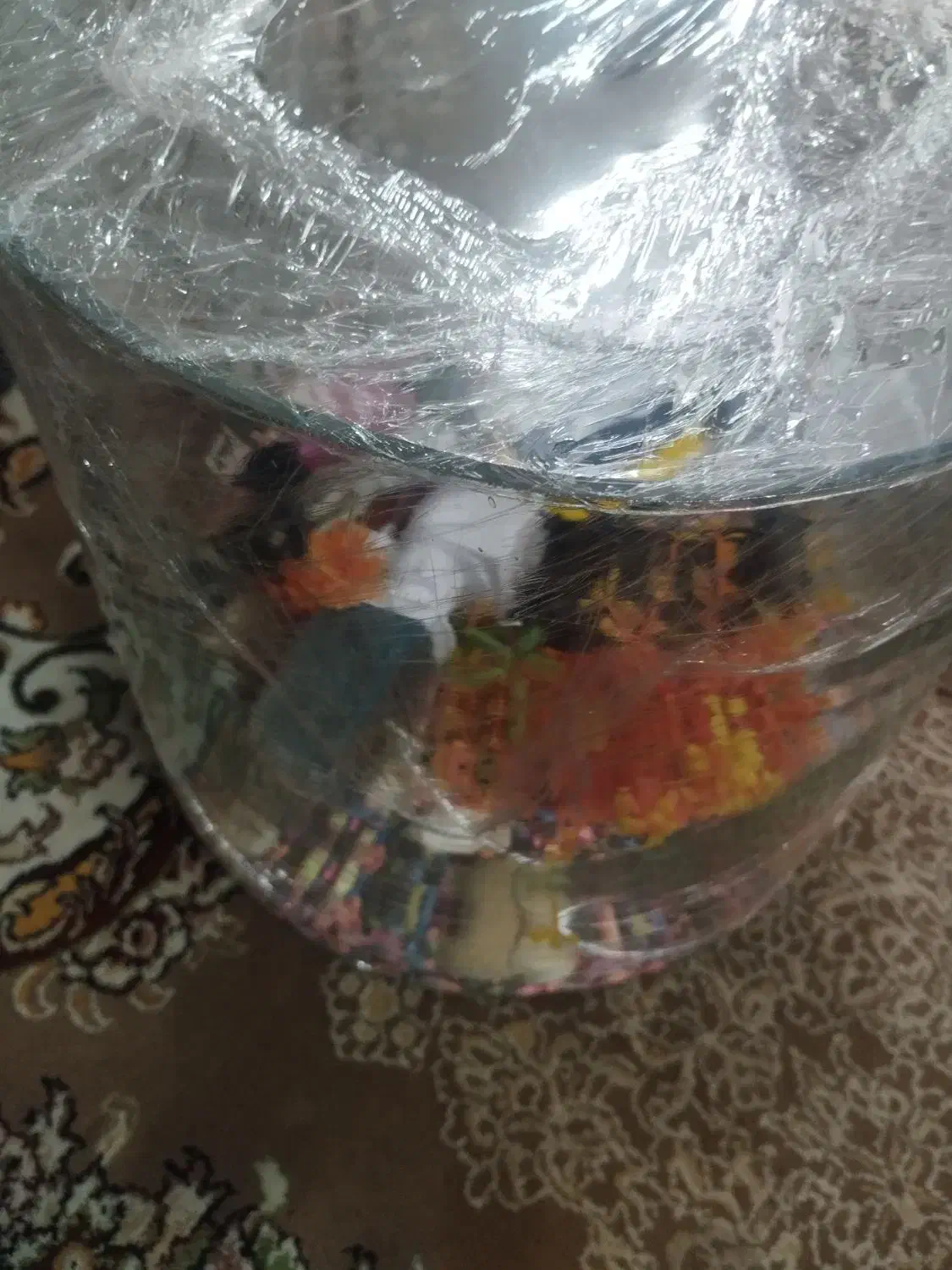 اکفاریوم گرد استوانه ای|لوازم جانبی حیوانات|فولادشهر, مسکن مهر فولادشهر|دیوار